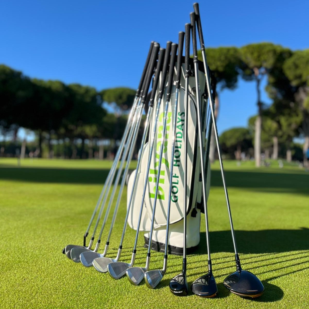 https://yyillbarracuda.bilyanagolf.com/files/imaj/clubhire1.jpg